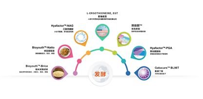 生物技术引领美妆未来 中国香料香精化妆品工业协会的创新之路