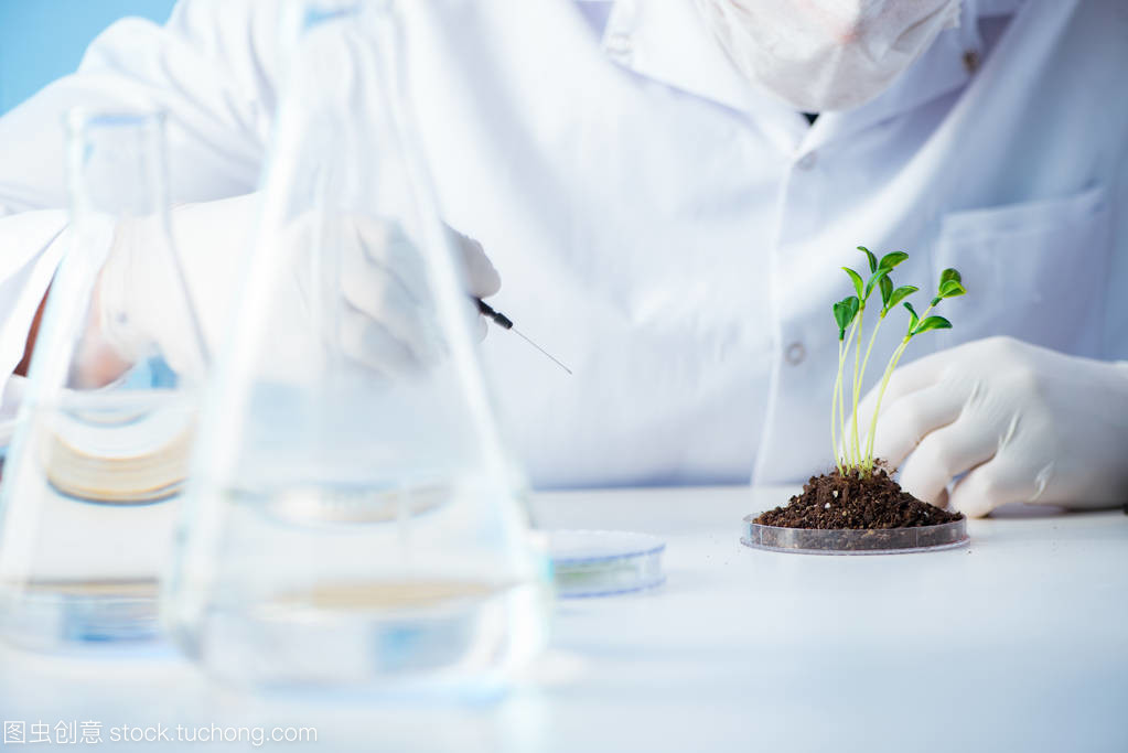 科学家在实验室里的生物技术概念